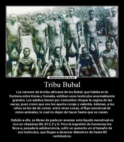 tribu testiculos grandes|La tribu donde tienen los testículos más grandes del mundo